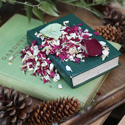Biodegradable Confetti for a Winter Wedding