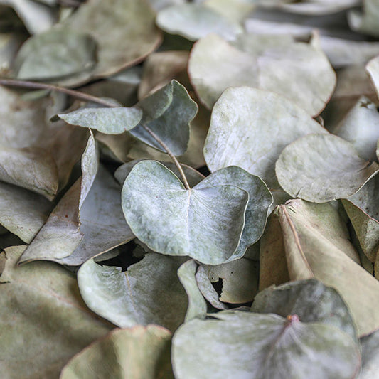 New Eucalyptus Leaf Confetti for Sage Green Weddings