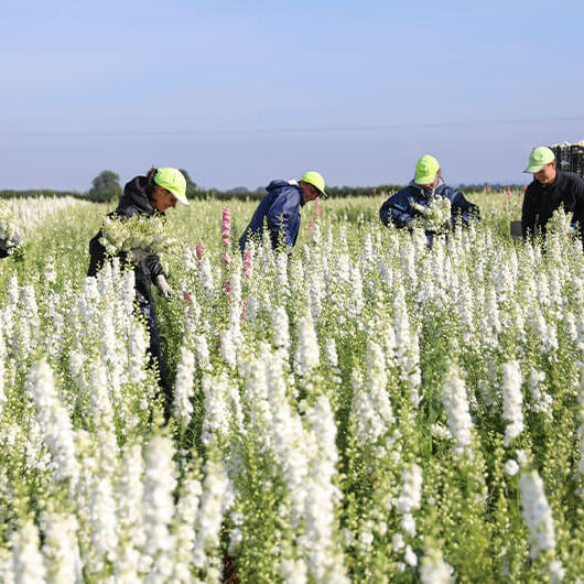 A Fond Farewell to 2022