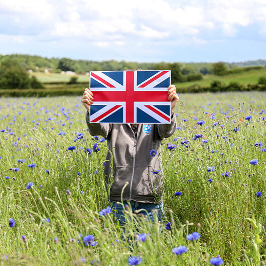 Why Buy British Flowers?