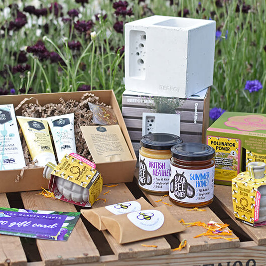 Name the Bee Competition