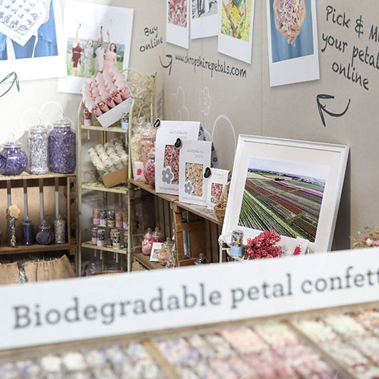 Top 10 reasons to visit the National Wedding Show this Spring