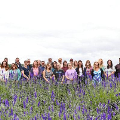 Shropshire Petals: Wrapping Up 2024 and Christmas Closure