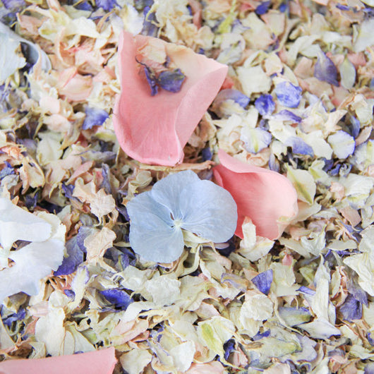 June's Whimsical Blend: Celebrating Summer with Pastel Wedding Confetti