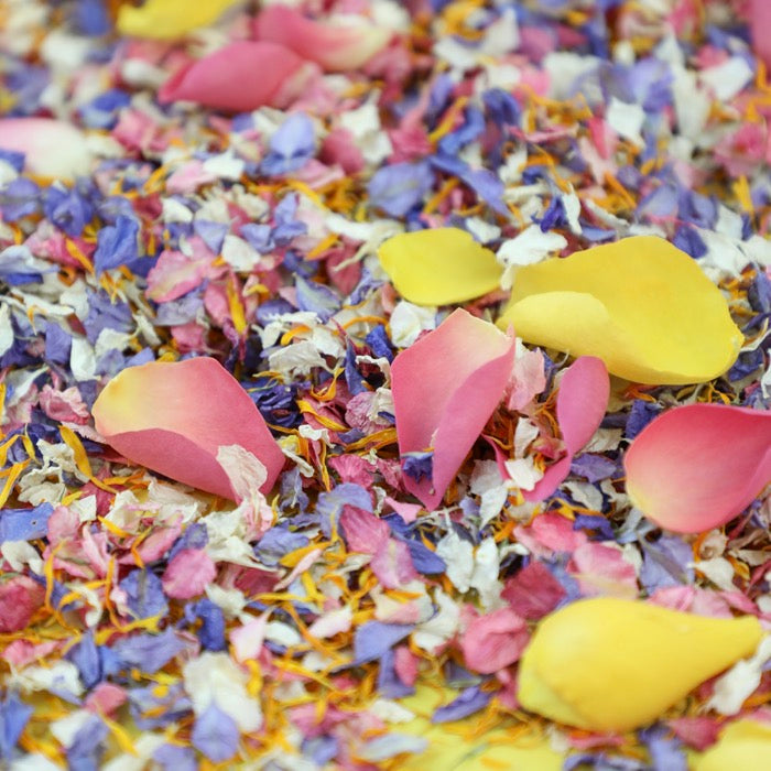 Individual Confetti Sachet