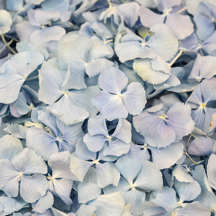 Flower Girl Basket (20 little handfuls)