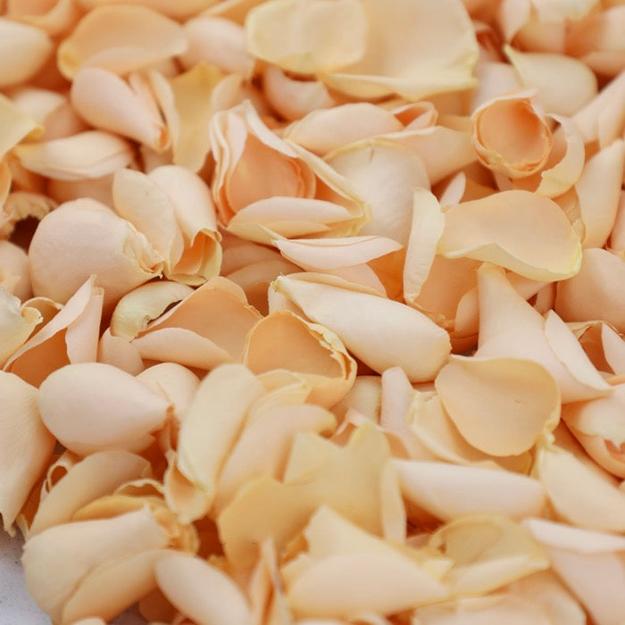 1 Litre Large Petals (light scatter 5 tables)
