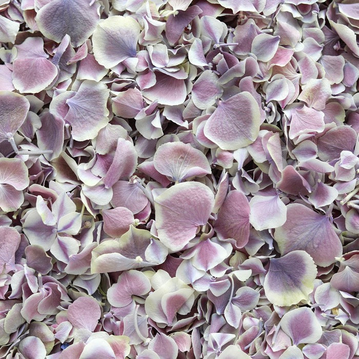 Confetti Samples Colours