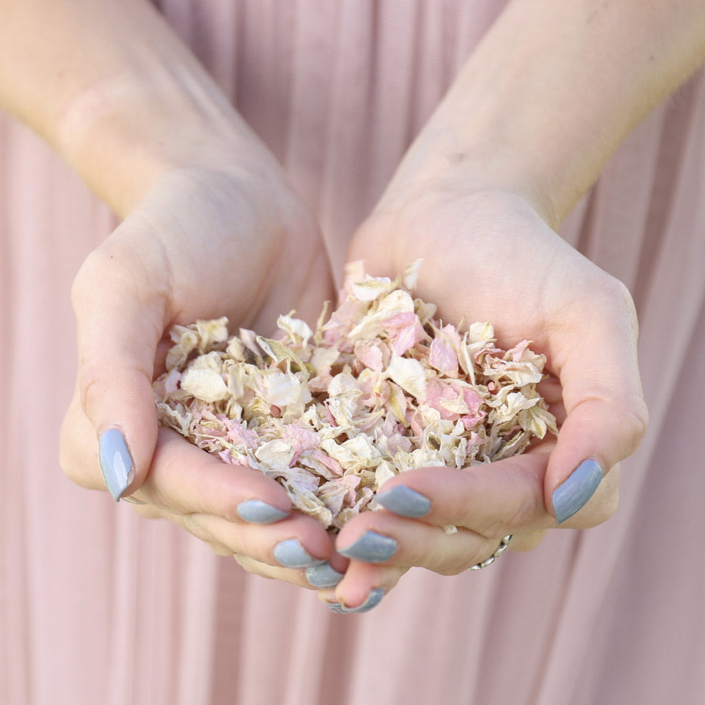 Wedding Season is Here: Celebrate with Our Bank Holiday Petal Confetti Offers