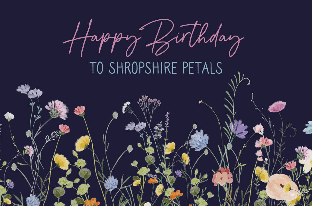 Celebrating 20 Years of Petal Magic