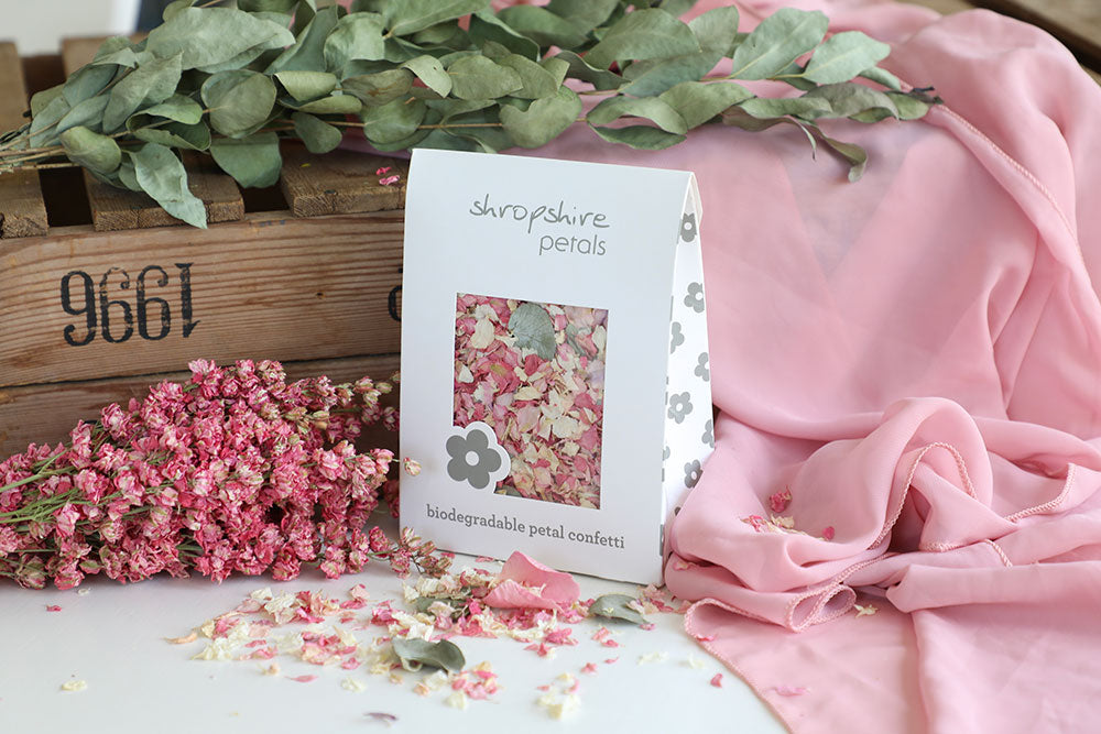 June’s Confetti Mix of the Month: Soft Blush, Sage & Ivory Harmony