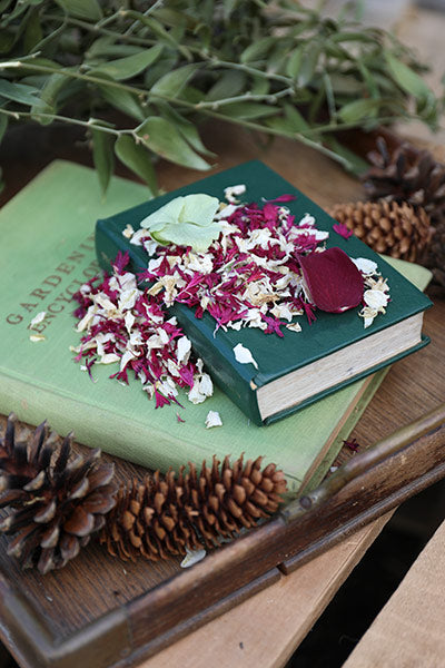 Biodegradable Confetti for a Winter Wedding