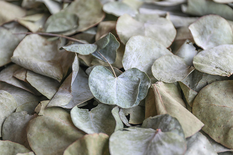 New Eucalyptus Leaf Confetti for Sage Green Weddings