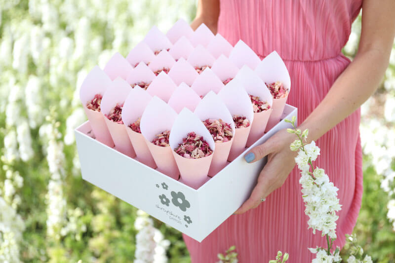 How to Put Together your Shropshire Box