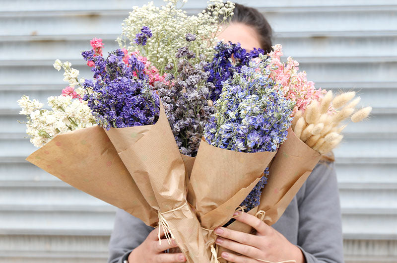 Reasons Why Dried Flowers Are Just The Best!