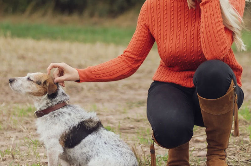 Small Business Christmas Gifts for Her