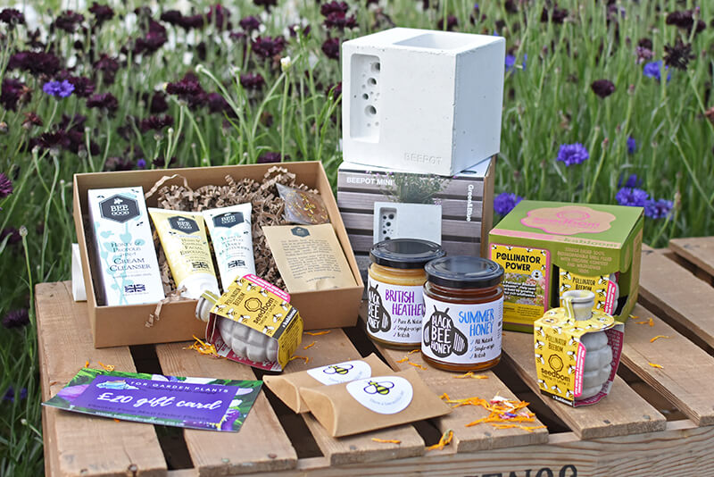 Name the Bee Competition