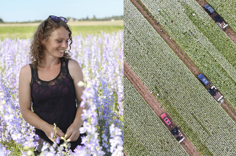 Meet our Research Coordinator, Jemma