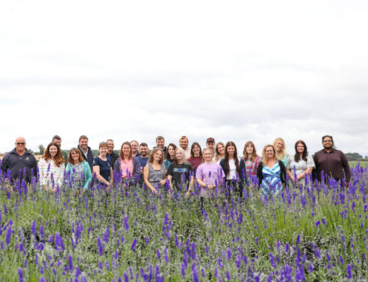 Shropshire Petals: Wrapping Up 2024 and Christmas Closure