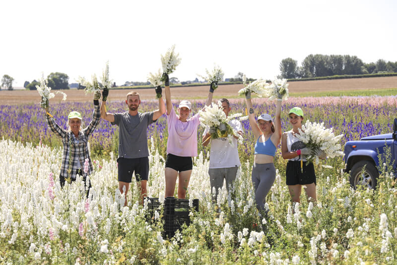 Confetti Harvest Updates