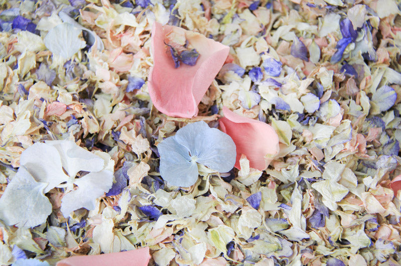 June's Whimsical Blend: Celebrating Summer with Pastel Wedding Confetti