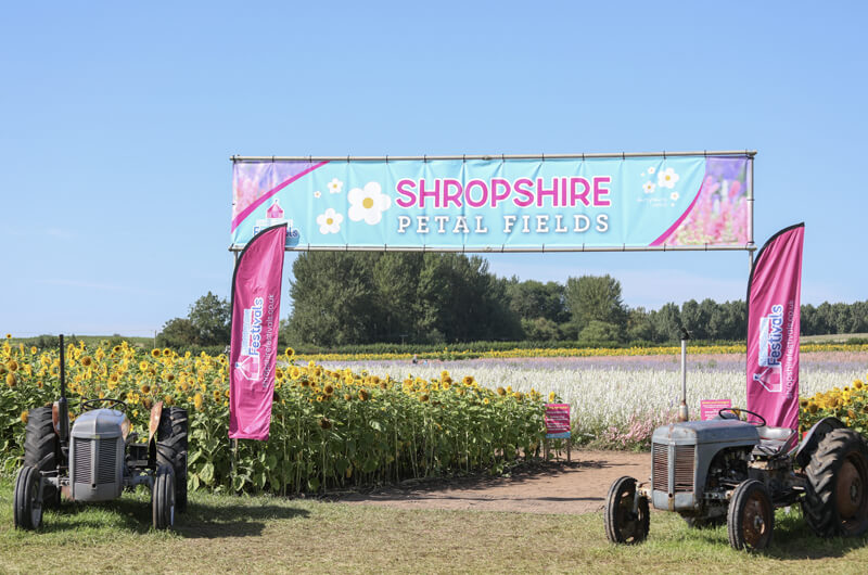 Blossoming Highlights: A Whirlwind Year on Shropshire Petals Farm – A 2023 Roundup