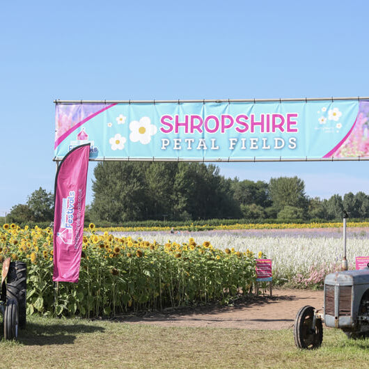 Blossoming Highlights: A Whirlwind Year on Shropshire Petals Farm – A 2023 Roundup