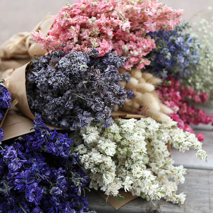 Dried Flowers