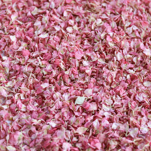 Cherry Blossom