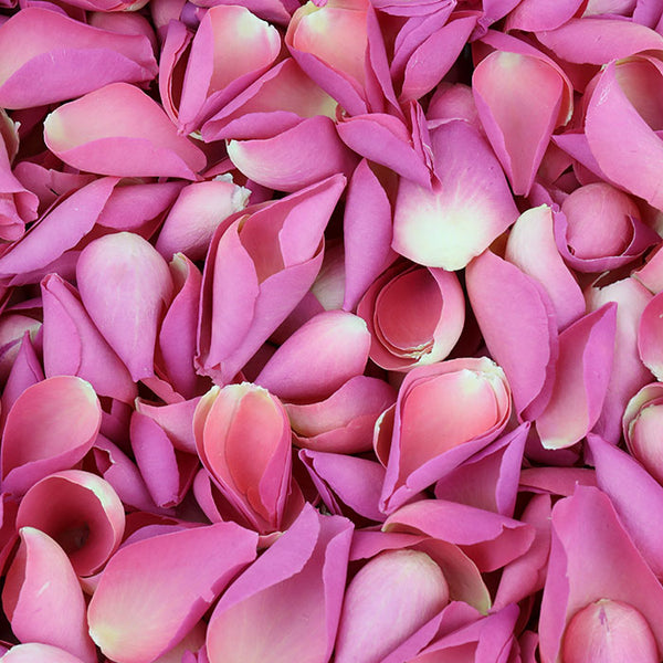 Flamingo Pink