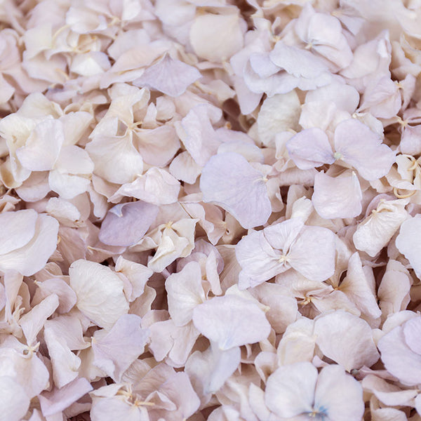 Lilac Haze