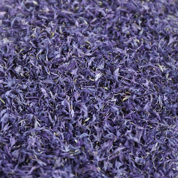 Lovely Lilac