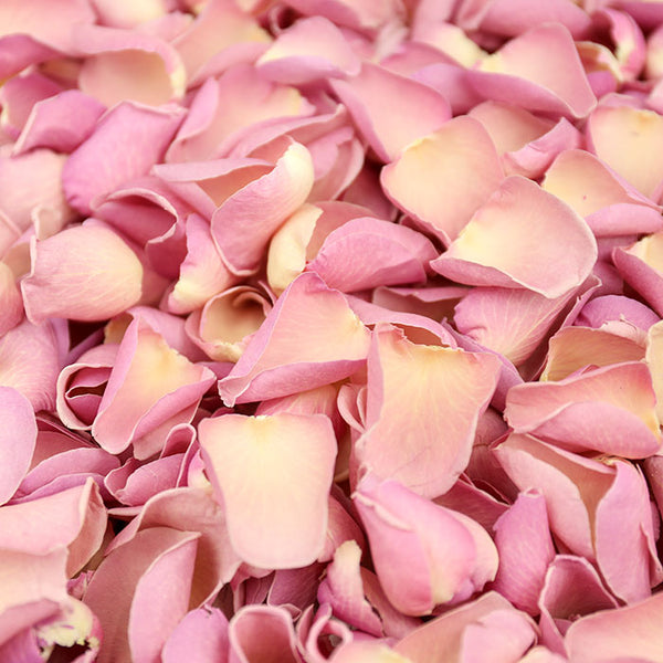 Peony Pink