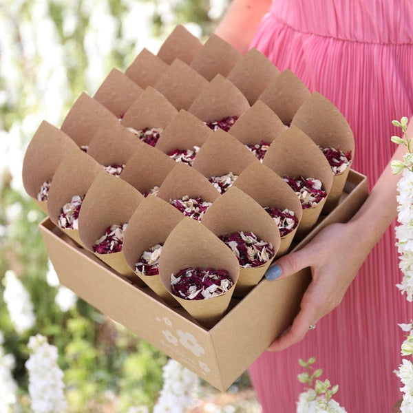 Kraft Shropshire Box (25 cones & confetti) | DW