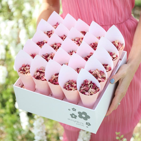 Shropshire Box (25 cones & confetti) | DW